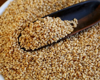 Sesame Seeds