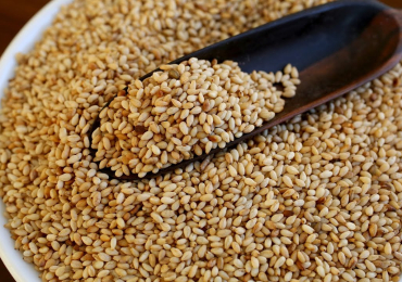 Sesame Seeds