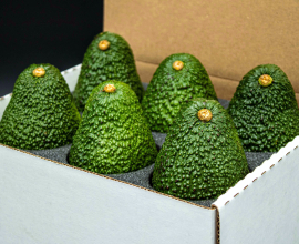 Hass Avocado