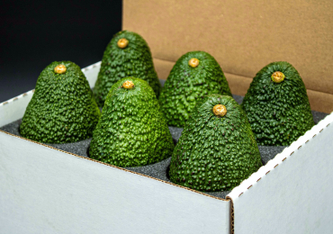 Hass Avocado