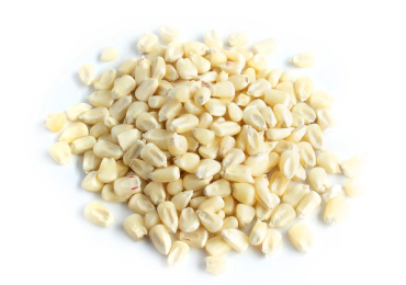 White Maize Grain