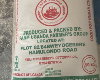 Maize Flour