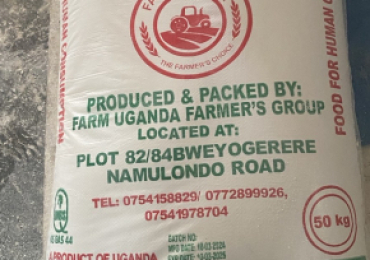 Maize Flour