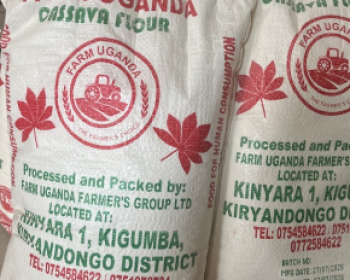 High Quality Cassava Flour (Hqcf)