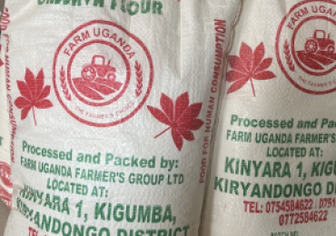 High Quality Cassava Flour (Hqcf)