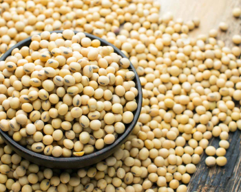 Soybeans