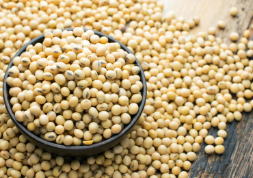 Soybeans