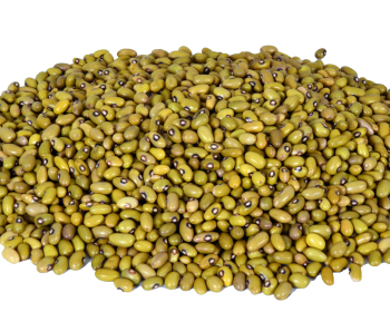 Yellow Beans