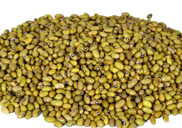 Yellow Beans