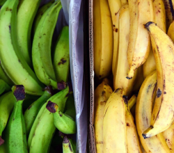 Bananas / Plantains