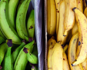 Bananas / Plantains