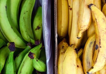 Bananas / Plantains
