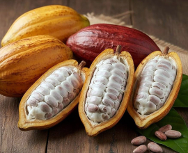 Cocoa Beans
