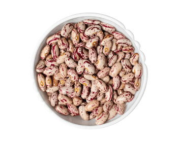 Common Beans
