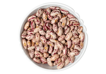 Common Beans