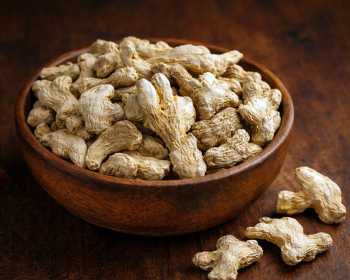 Ginger